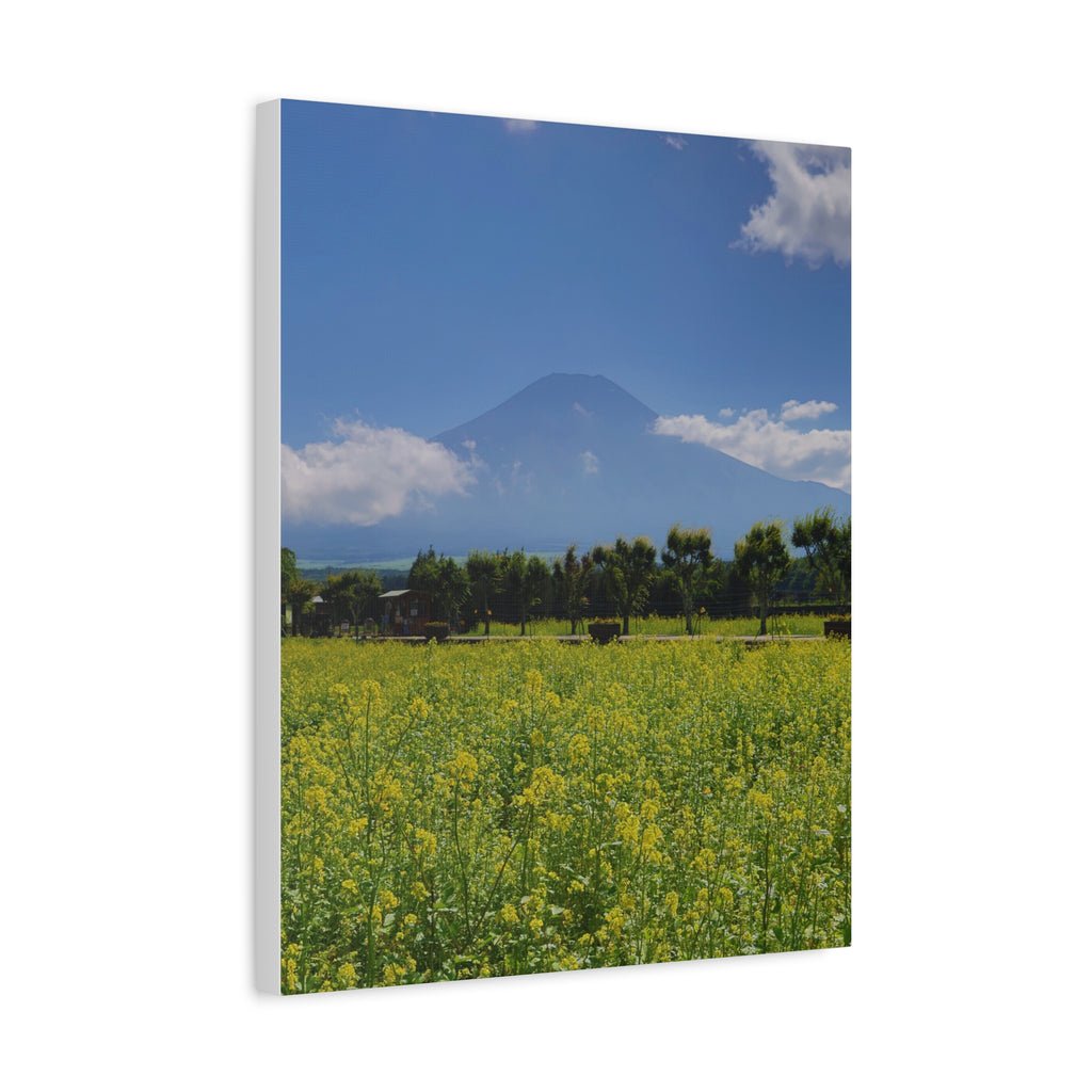 Mount Fuji - Summer Bloom Canvas