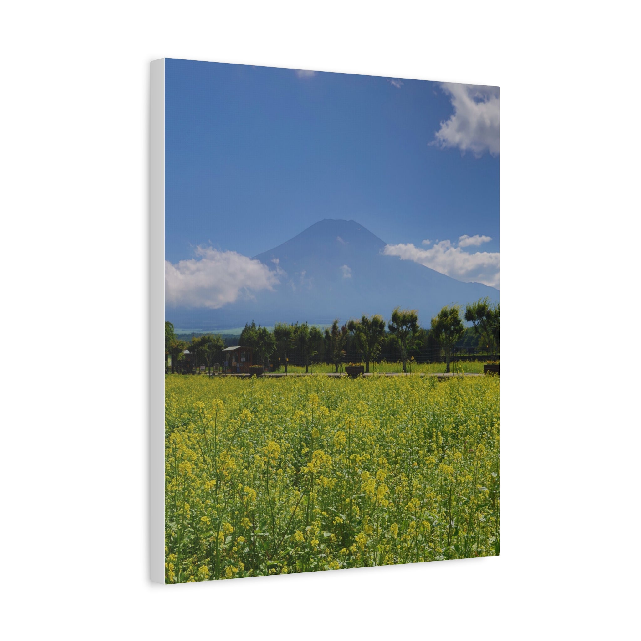 Mount Fuji - Summer Bloom Canvas