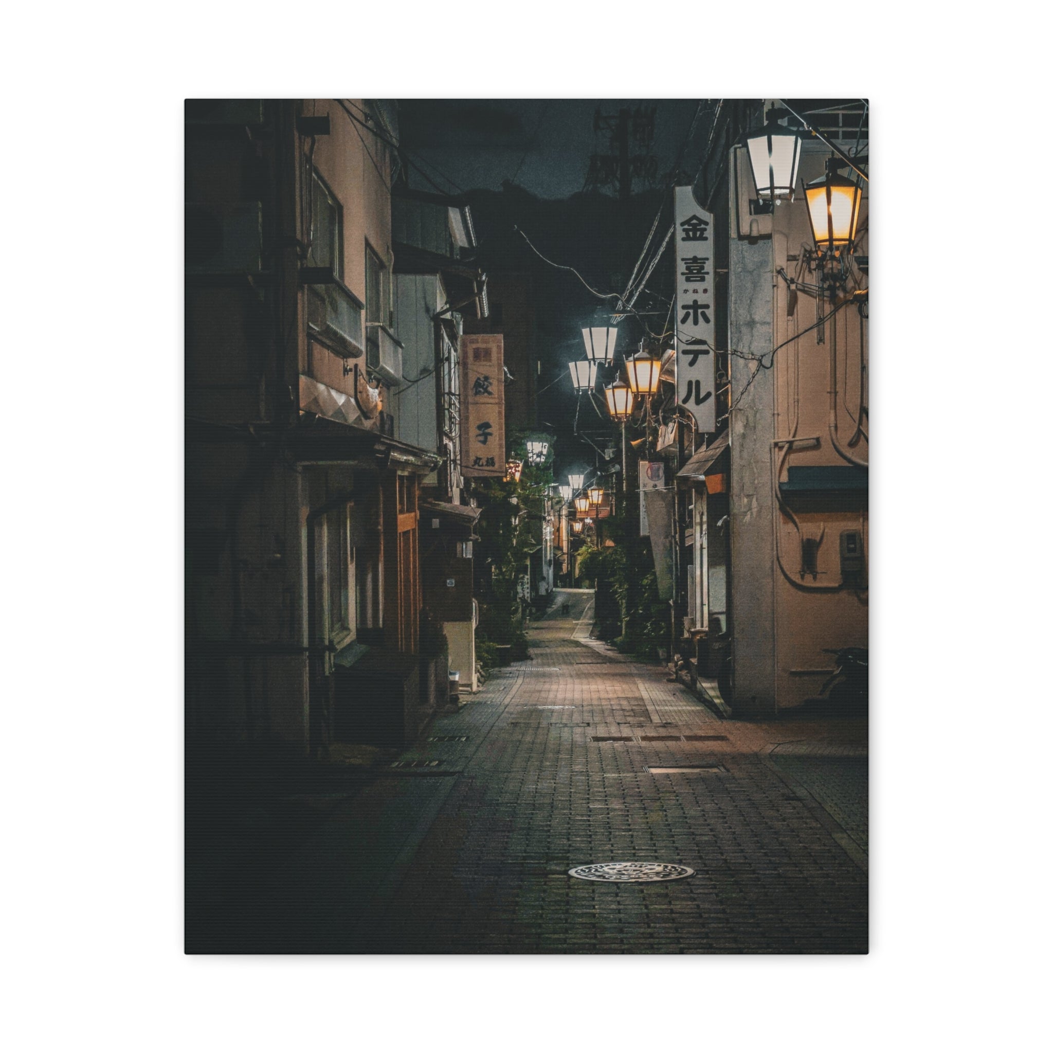 Rural Japan - Midnight Silence Canvas