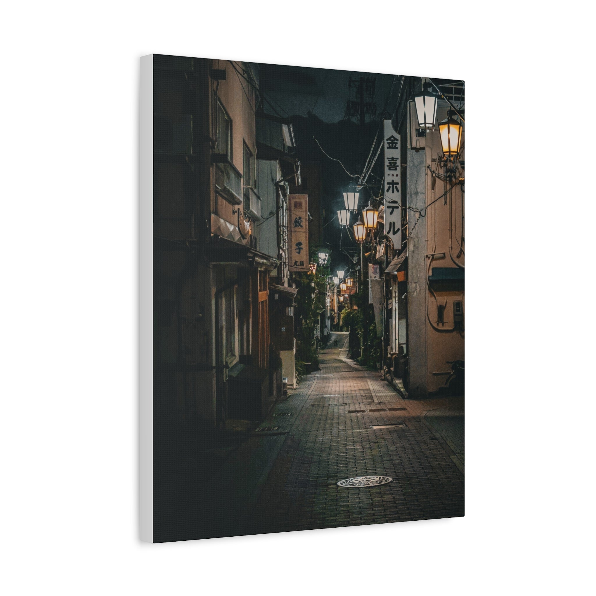 Rural Japan - Midnight Silence Canvas