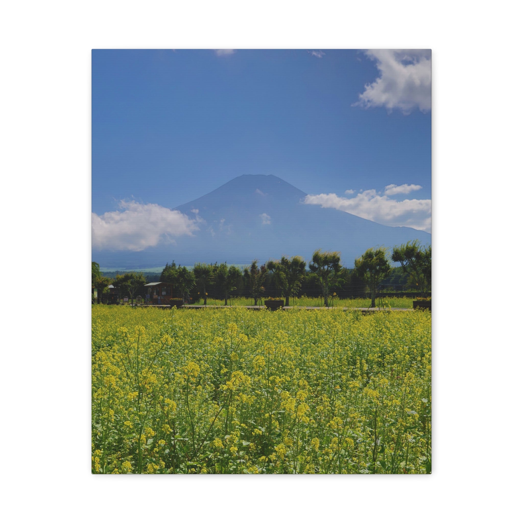 Mount Fuji - Summer Bloom Canvas